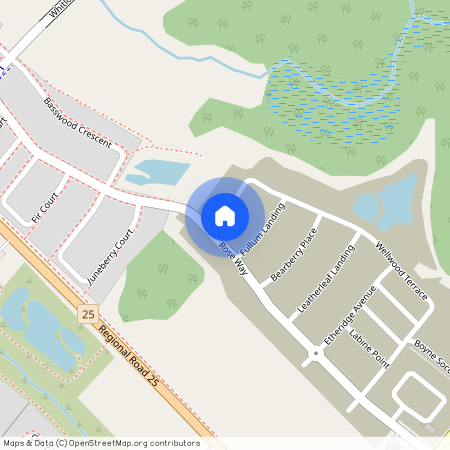 1414 Wellwood Terrace Unit# Basement, Milton