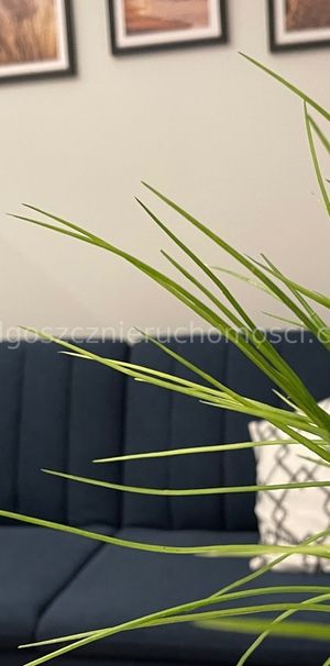 Do wynajęcia mieszkanie Bydgoszcz Okole - 27m2 - Photo 1