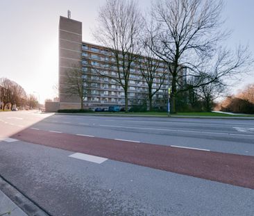 Loudonstraat 247 - Foto 4