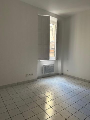 Location Appartement 1 pièce 18m² LYON 7ème - Photo 3