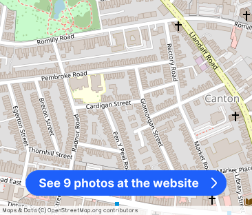 Cardigan Court, Cardigan Street, Canton - Photo 1