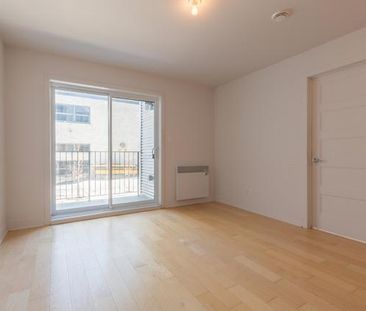 Magnifique condo rénové 4½ de 750 pi² face au parc Père-Marquette, ... - Photo 4
