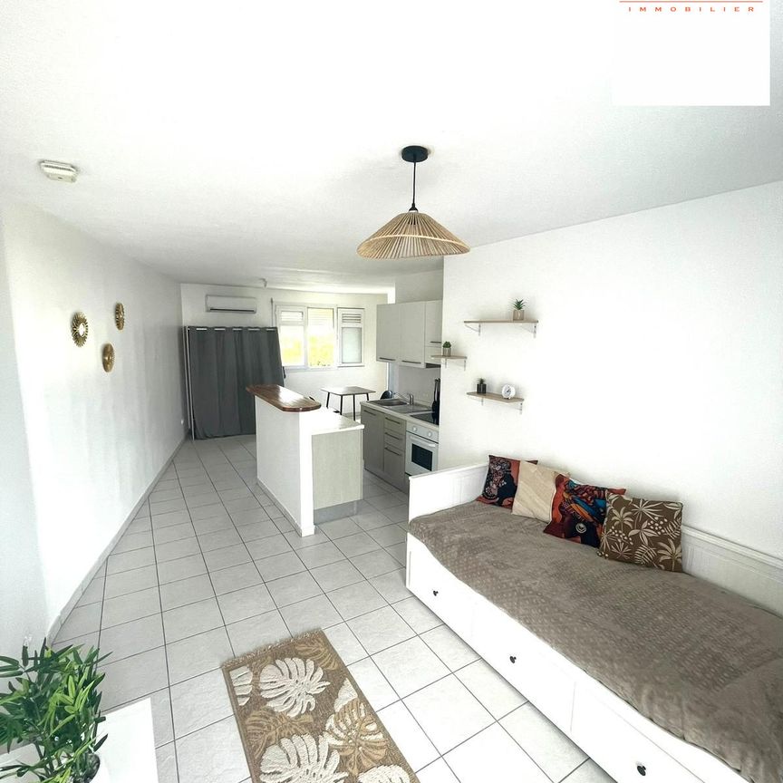 Location Appartement 1 pièce 28m² LE LAMENTIN 97232 - Photo 2