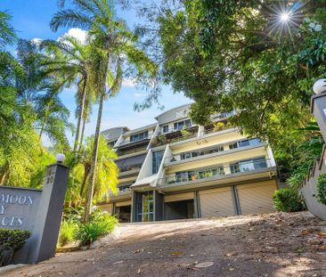 Tranquil near Beach Living at Yorkeys Knob - Photo 5