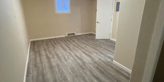 PULSE 6-PLEX - 4 - Photo 3