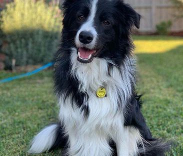 Hamlyn Heights - Photo 5