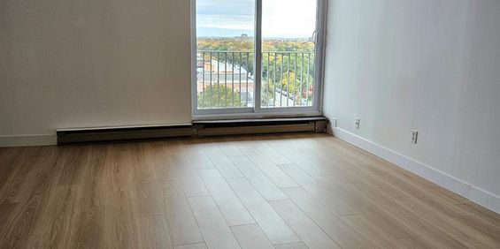 1 CH - 1 SDB - Montréal - $1,295 /mo - Photo 3