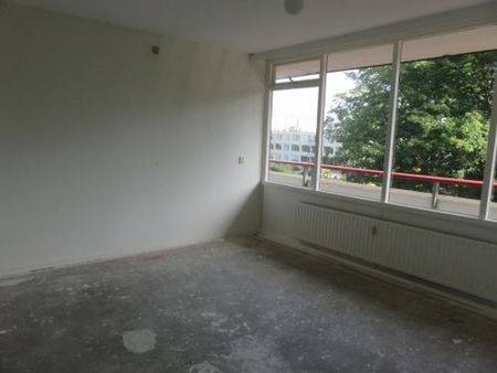 Korfoedreef 3562 SB Utrecht - Foto 3