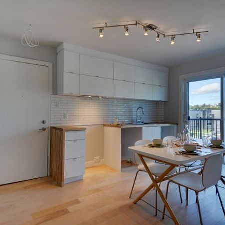 Appartement 4 ½ à louer Beauport juillet 2026 - Photo 3