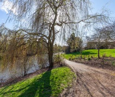 1 bedroom cluster house to rent - Photo 6