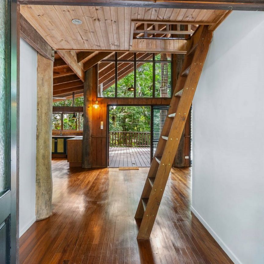 LIVE IN THE RAINFOREST!!!! - Photo 1