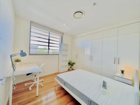 9 Ascot St, Sydney - Photo 3
