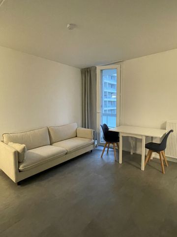 Location Appartement 1 pièce 29m² - Photo 2