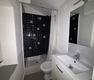 Location Appartement 1 pièce 18m² METZ 57000 - Photo 4