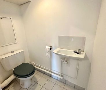 Location Appartement 2 pièces 54m² VILLEURBANNE 69100 - Photo 6