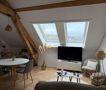 Magnifique appartement rénové en plein centre - Esplanade Avec Jard... - Foto 5