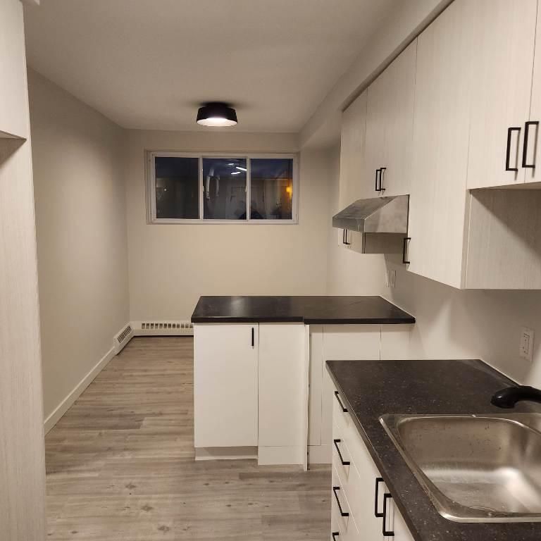 4 1/2 Vieux Longueuil à 2 pas de Saint-Charles - Photo 1