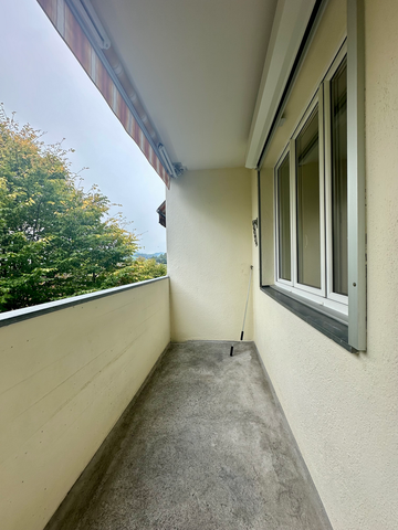 Charmante Wohnung im Herzen von Wald ZH - Foto 5