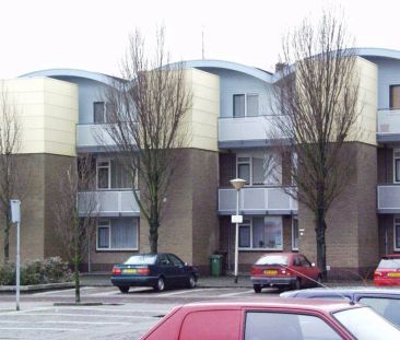 Appartement au rez-de-chaussée Verdistraat 50, Lisse - À louer - Foto 1