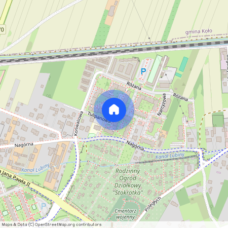 Tulipanowa, Kolski, Koło