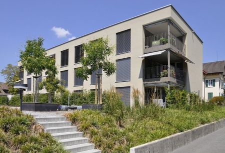 Klein aber fein in der Nähe des Pfäffikersees - Photo 3