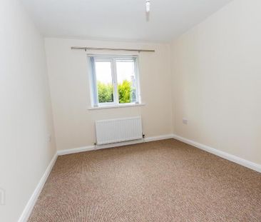 46 Todds Hill Park, Saintfield, Ballynahinch, BT24 7FB - Photo 4
