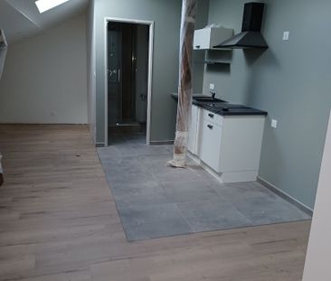Appartement T1 près de DOGNEVILLE à louer - Photo 1