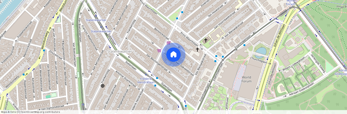 Van Weede van Dijkveldstraat 49, 2582KR, 'S-Gravenhage
