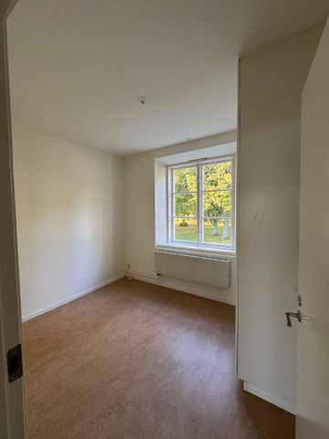 Nybble, Julita - Photo 3