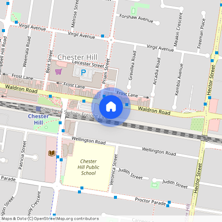 111 Waldron Road, NSW 2162, Chester Hill