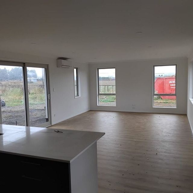 Multi-Generational Living - Near Completion! - Photo 1