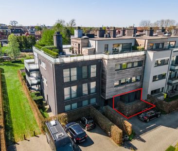 Brouwerijstraat 13, 2320, Hoogstraten - Photo 5