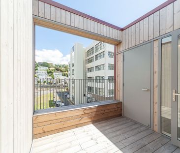 Brand New Build in Te Aro - Photo 1