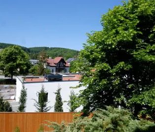 Erstbezug in ruhiger Grünlage in Ober St. Veit - Photo 3
