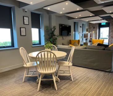 Studio Gold - Photo 1