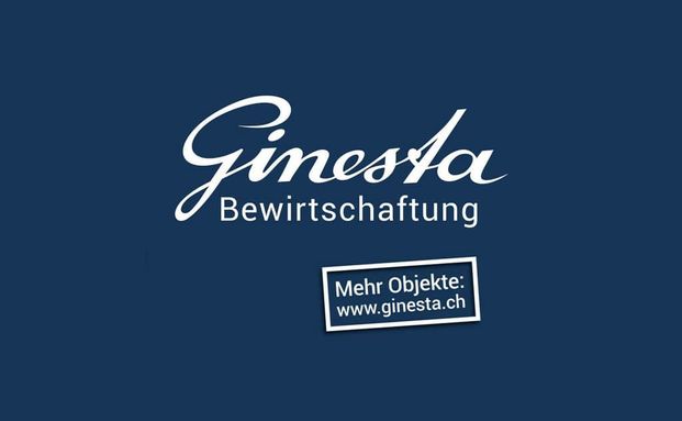 4.5 Zimmer, 138 m², 2. Stock - Photo 1