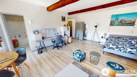 Location Appartement 1 pièce 47m² ALBI 81000 - Photo 3