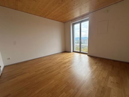 Your exclusive attic apartment above the rooftops of Winterthur! - Photo 5