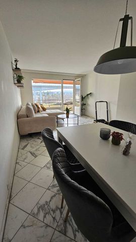 APPARTEMENT 21/2 PIÈCES À BERNE - BERNE-FELSENAU, MEUBLÉ, TEMPORAIRE - Foto 4