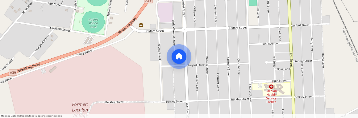 37 Little Wambat Street, NSW 2871, Forbes