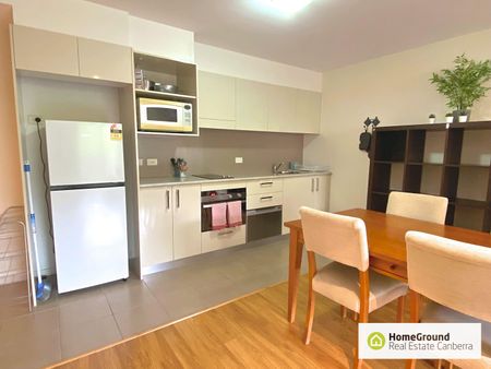 55/15 Braybrooke Street, Bruce ACT 2617 - Apartment For Rent | Domain - Photo 2