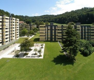 Vivre dans le Gyrischachen avec aire de jeux et piscine extérieure - Photo 2