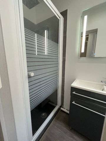 Location Appartement 1 pièce 15m² - Photo 4