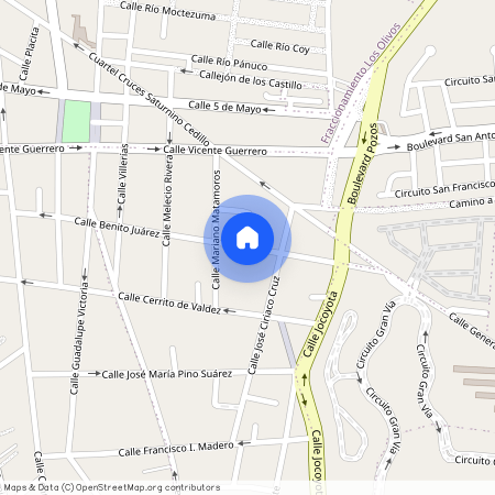Calle Lirio, Villa De Pozos, San Luis Potosí, San Luis Potosí, 78421, México