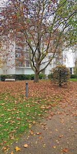 Appartement LA CHAPELLE ST MESMIN - 45380 - Photo 4