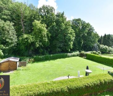 Schön renovierte, helle und bezugsfertige 1,5 ZimmerWohnung, in Sil... - Foto 1