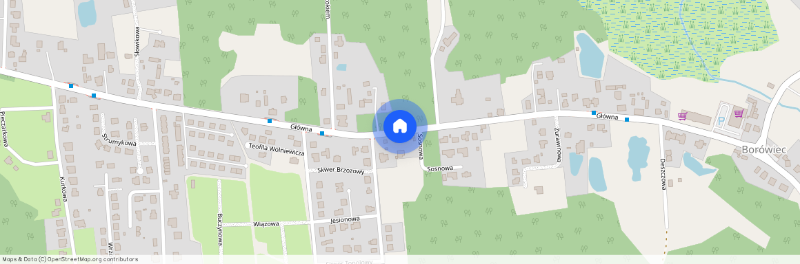 Borówiec, Kórnik, poznański, wielkopolskie