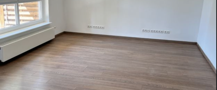 Geschmackvolle, geräumige EG-Wohnung mit zwei Zimmern - Foto 1