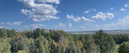 3-Raum-Wohnung mit Blick ins Grüne! - Photo 1