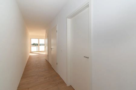 PERFEKTES ZUHAUSE // Gemütliche 2-Raum-Wohnung mit Balkon und offenem Wohn-/Kochbereich - Photo 2